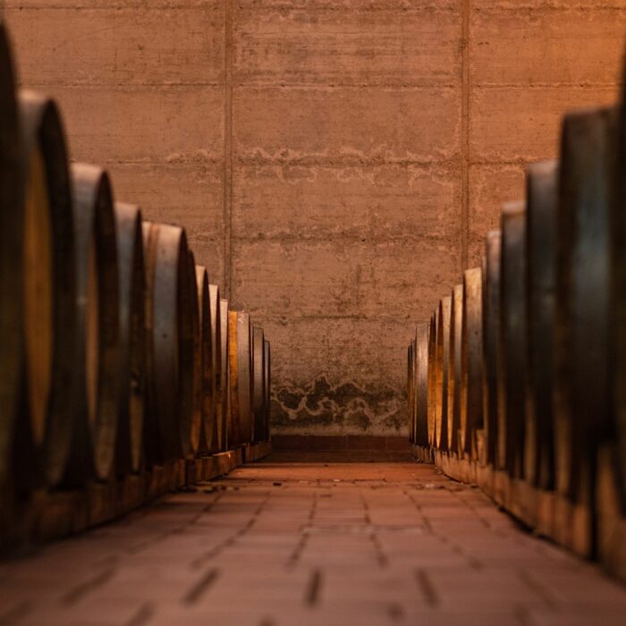 strapellum 5 - Strapellum