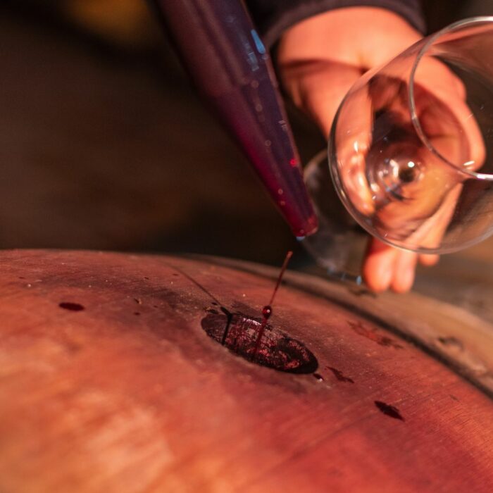 strapellum 6 - Strapellum